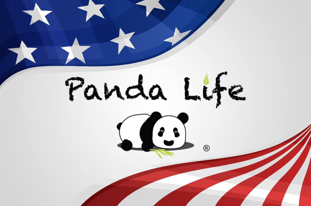 Panda Life Pillow at Costco Middlebelt